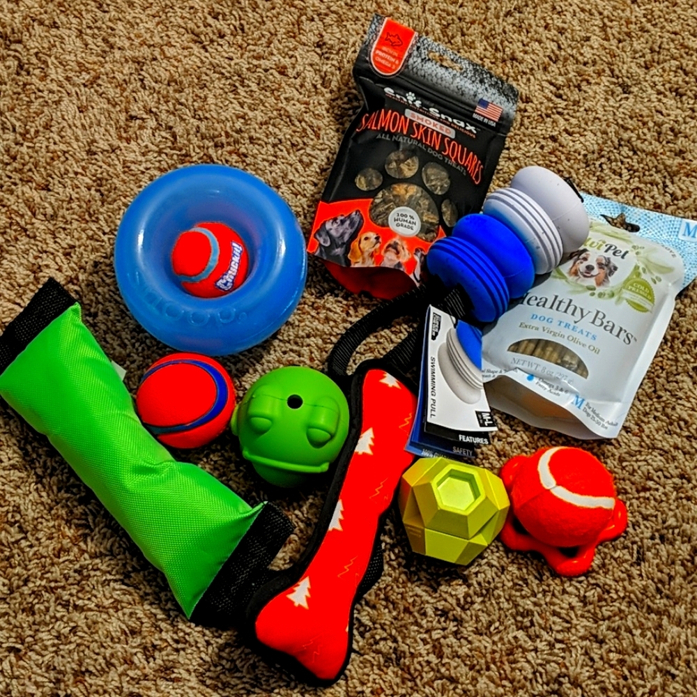 Assorted dog toys